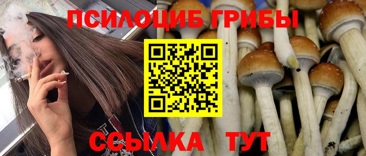 Галлюциногенные грибы GOLDEN TEACHER Ейск