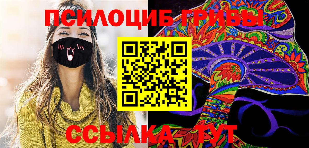 Псилоцибиновые грибы мицелий  Псилоцибиновые грибы Psilocybe  Вход с VPN  Ейск 